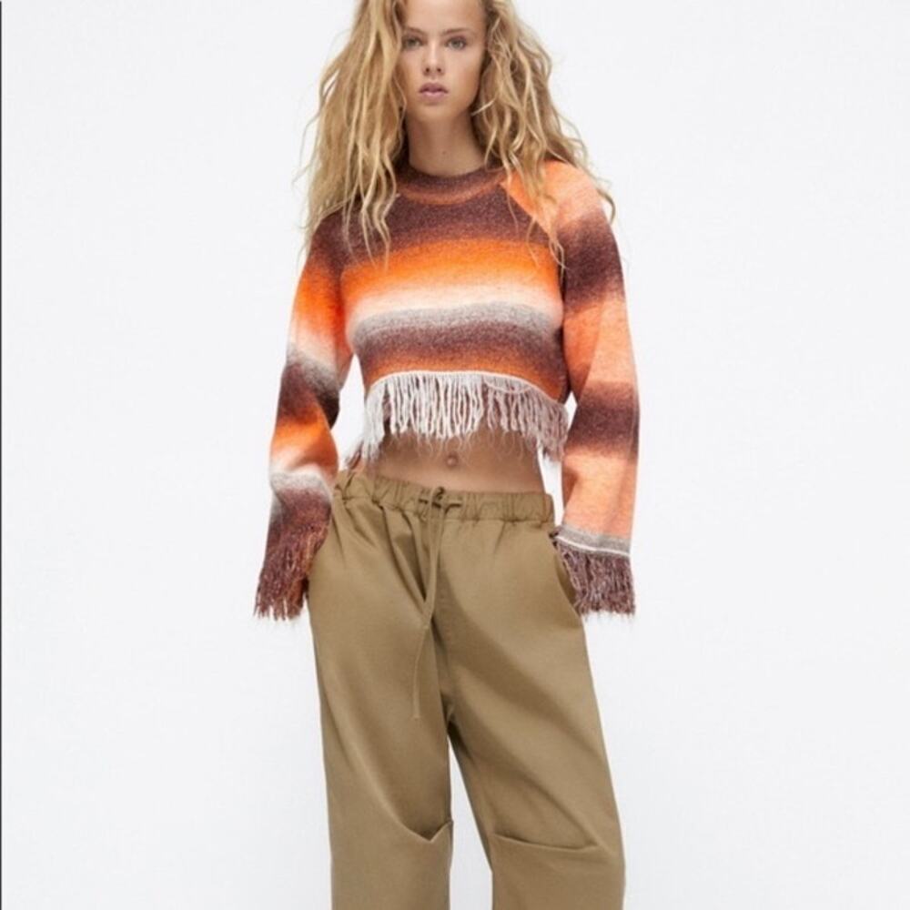 Zara Fringe Striped Cropped Sweater